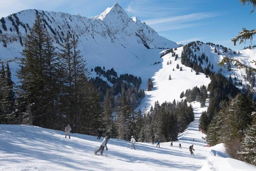 Les Cimes, Chaleureux Studio 4 Pers, 50M Du Telecabine, Vue Degagee Sur Les Pistes, Draps Non Compris Сен-Жан-д'Ольп Экстерьер фото