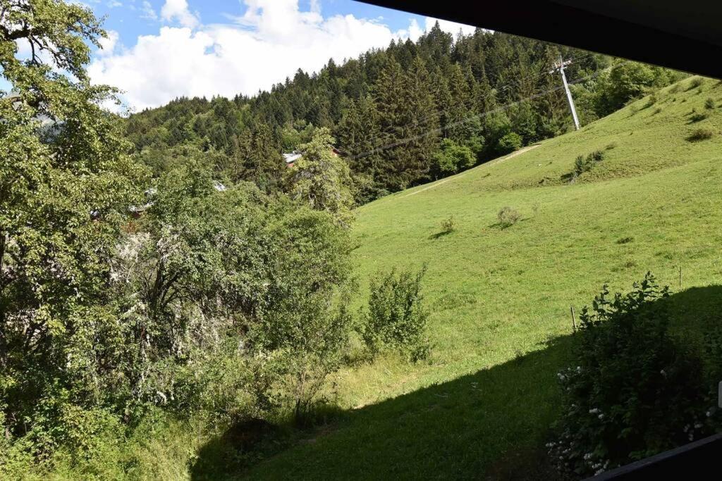 Les Cimes, Chaleureux Studio 4 Pers, 50M Du Telecabine, Vue Degagee Sur Les Pistes, Draps Non Compris Сен-Жан-д'Ольп Экстерьер фото